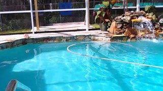 Tighttinymilf wife amateur sex video