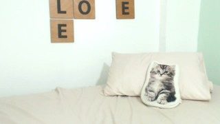 ? , ???? ???? ? naked on cam for live porn video chat