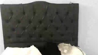 saarah-smiith naked on cam for live porn video chat