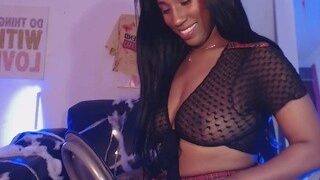 ?, Nikki Bella naked on cam for live porn video chat