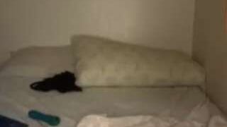 mellykitty naked on cam for live porn video chat