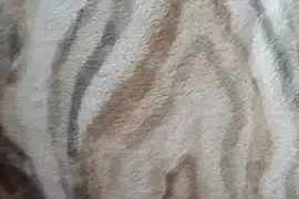 Babysquirty88 nude webcam for live sex chat