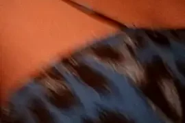 donsapphire01 nude webcam for live sex chat