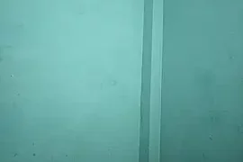 Husan-pari nude webcam for live sex chat