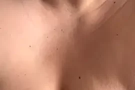MelissaConti nude webcam for live sex chat