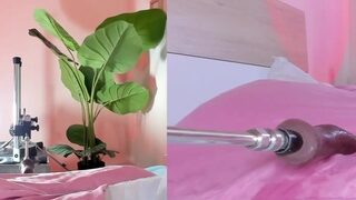 Cinnamon Afrodit nude on cam for live porn chat