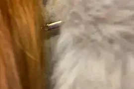 babydolll nude webcam for live sex chat