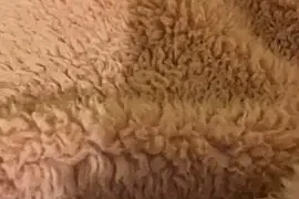 Golin27 nude webcam for live sex chat